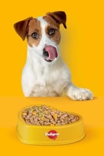 Pedigree Köpekler İçin Ranchos Sığır Etli Ödül Maması 70 G