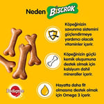 Pedigree Seti | Köpekler İçin Biscrok Ödül Bisküvisi, 200 Gr x1 + Köpekler İçin Dentastix Ödül Maması, 110 Gr x1