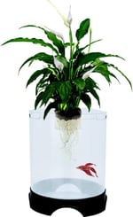 PENN-PLAX Aqua-Ponic Betta tankı ve hidroponik bitki saksısı, bitkiler ve balıklar için sağlıklı bir ortam sağlar - Seçenekler: 1.4 Gallon, 2,2 l