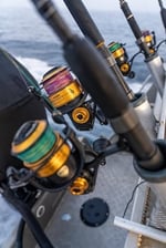 PENN Spinfisher VI Olta Makinesi - Seçenekler: Live Liner, Svii - Yeni Model, 10500, 6500