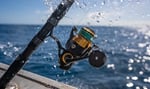 PENN Spinfisher VI Olta Makinesi - Seçenekler: Live Liner, Svii - Yeni Model, 10500, 6500