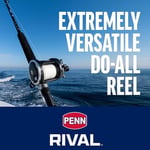 Penn Üniseks Rival Level Rüzgar olta makinesi - Seçenekler: 15| Right |5.1:1 |500g, 30| Left|3.9:1|625g...
