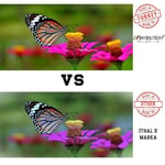 Perfection Canon Uyumlu E3640 PG-46 CL-56 Kartuş Uyumlu Dolum Seti 4x100 gr. Aparatlı+Solüsyonlu