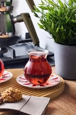 Perotti Mercan 6'Lı Borosilikat 200 Ml Çay Bardağı Keyf-İ Ala