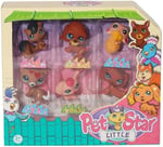 PET STAR LITTLE 6LI MINIS