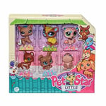PET STAR LITTLE 6LI MINIS