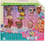PET STAR LITTLE 6LI MINIS