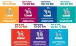 Petmate Pet Porter Moda Köpek Kulübesi 19