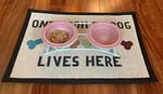 PetRageous 44355 Toftees Paws Diner with Two 1-Cup Bulaşık Makinesinde Yıkanabilir Taş Kase Kapasitesi 10,75 İnç Uzunluk 5,25 cm Uzunluğunda, Ekstra Küçük ve Küçük Köpekler ve Kediler için, Beyaz ve