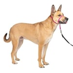 PetSafe Antrenman DVD'li yumuşak kılavuz boyun bandı - Seçenekler: Medium 25-60 Lb., Medium 25-60 Lb. (2 paketi)...