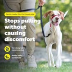 PetSafe Antrenman DVD'li yumuşak kılavuz boyun bandı - Seçenekler: Medium 25-60 Lb., Medium 25-60 Lb. (2 paketi)...