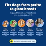 PetSafe Antrenman DVD'li yumuşak kılavuz boyun bandı - Seçenekler: Medium 25-60 Lb., Medium 25-60 Lb. (2 paketi)...