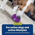 PetSafe Busy Buddy Twist 'n Treat Dağıtıcı Köpek Oyuncağı - Medium, Mor