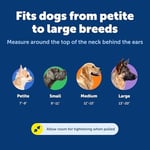 PetSafe Hızlı Kopçalı Martingale Yaka, 3/4