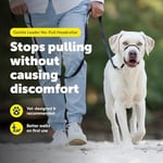 PetSafe Nazik Leader Baş Yaka, Çekmesiz Köpek Tasması, Büyük 27-59 kg, Siyah