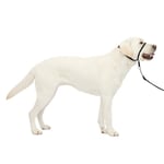PetSafe Nazik Leader Baş Yaka, Çekmesiz Köpek Tasması, Büyük 27-59 kg, Siyah
