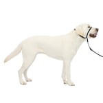 PetSafe Nazik Leader Baş Yaka, Çekmesiz Köpek Tasması, Büyük 27-59 kg, Siyah