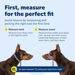 PetSafe Nazik Leader Baş Yaka, Çekmesiz Köpek Tasması, Büyük 27-59 kg, Siyah