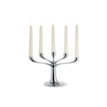 Philippi Candelabra 5 Kollu Şamdan 20 cm
