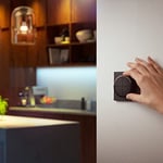 Philips Hue Tap Dial Switch Döner Anahtar, Siyah, Hue Uygulaması ile Kişiselleştirilebilir, Aksesuarlar