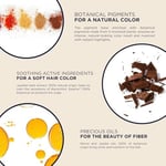 Phyto Phytocolor Saç Boyası 6.77