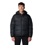 Pike Lake II Hooded Erkek Mont