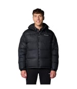 Pike Lake II Hooded Erkek Mont