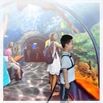 pinklilycare Hızlı Tutma Kolu ve Otizm Özel İhtiyaçları için Ayarlanabilir Bağ ile Yaşlı Çocuklar için Yürüyüş Koşum Takımı DEHB Güvenlik Gençler Kılıfı Otizm Farkındalık Kayışları