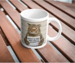 Pişman Değilim Komik Yazılı Kupa Bardak Hediyelik Çay Kahve Kupası Coffee Mug