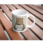 Pişman Değilim Komik Yazılı Kupa Bardak Hediyelik Çay Kahve Kupası Coffee Mug
