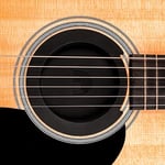 Planet Waves DadDario Screeching Halt Akustik Gitar Ses Deliği Kapağı - Akustik Gitar Aksesuarları - Geri Bildirimi Önler (Çoğu Standart 4 “Ses Deliklerine Uyar)
