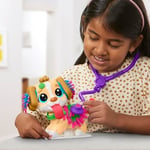 Play-Doh Care'n Carry Vet Oyun Hamur Seti