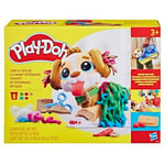 Play-Doh Care'n Carry Vet Oyun Hamur Seti