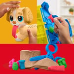 Play-Doh Care'n Carry Vet Oyun Hamur Seti