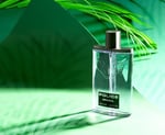 Police Original EDT 100 ml Erkek Parfümü