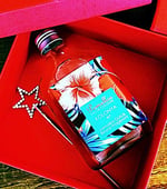 Pomellos Jamaika Gülü & Beyaz Frangipani Kolonya 250 ML