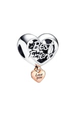 POSEİDONS JEWELLERY Seni Seviyorum En İyi Arkadaşım Kalp Charm Gümüş Tek Ebat