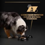 Pro Plan Yetişkin Köpekler İçin Hindili Konserve Yaş Mama 400 Gram