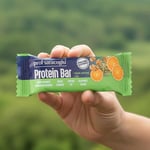 Prof Saracoglu Protein Bar - Kabak Çekirdekli 35g