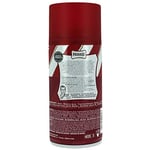 Proraso Tıraş Köpüğü Sandal Ağacı Özlü 300ml