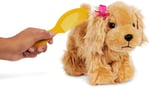 Pucci Pups Cocker Spaniel Ve Pembe Çanta Renkli