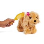 Pucci Pups Cocker Spaniel Ve Pembe Çanta Renkli