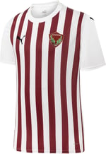 PUMA Atakaş Hatayspor 23/24 İç Saha Forması