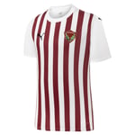 PUMA Atakaş Hatayspor 23/24 İç Saha Forması