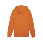 Puma Better Essentials Hoodie Erkek Günlük Sweatshirt Better Essentials