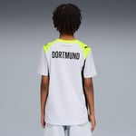 Puma Borussıa Dortmund 25/26 Genç Deplasman Forması,Silver Mist-Yellow Alert 7-8 Yaş