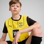 PUMA BVB Home Jersey Replica Jr Tişört Erkek