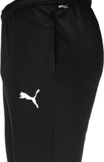 PUMA erkek Figc Training Pant W.z/P Eşofman altı