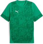 PUMA Erkek Teamcup antrenman forması tişörtü
