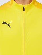 PUMA Erkek Teamgoal 23 antrenman ceketi, antrenman ceketi